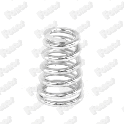 Spring, muffler