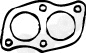 Gasket, exhaust pipe (81067)