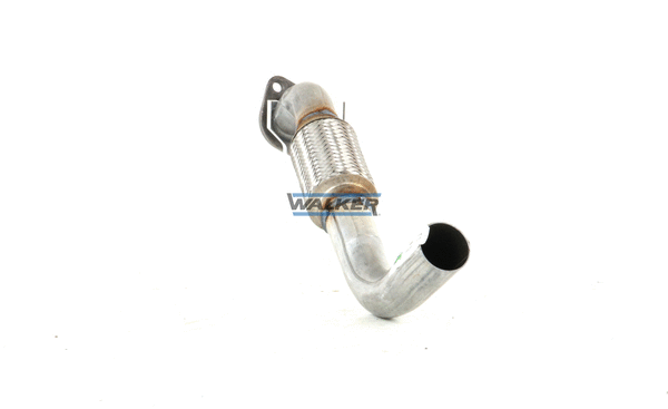 Exhaust Pipe