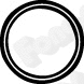Gasket, exhaust pipe (80380)