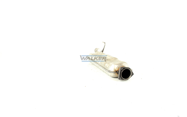 Centre Muffler