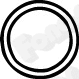 Gasket, exhaust pipe (82522)
