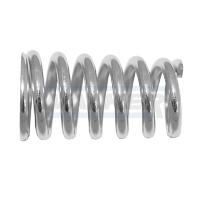 Spring, muffler