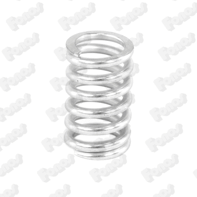 Spring, muffler