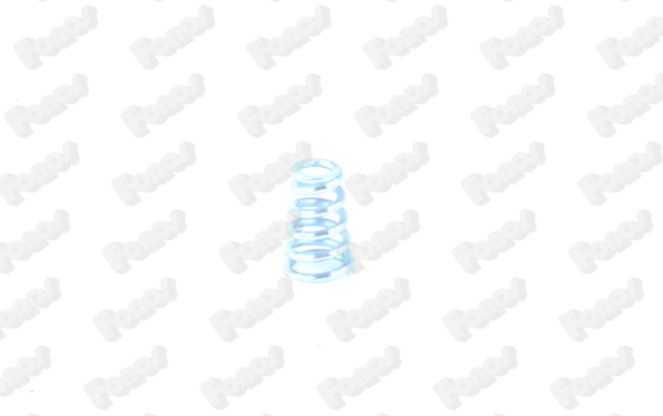 Spring, muffler