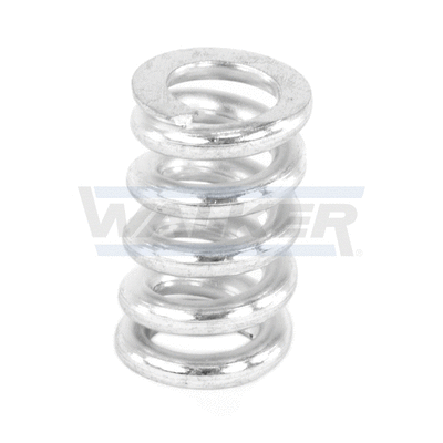 Spring, muffler
