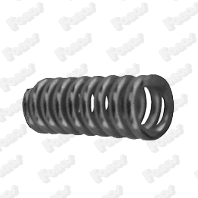 Spring, muffler