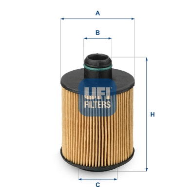 Oil Filter (25.061.00)
