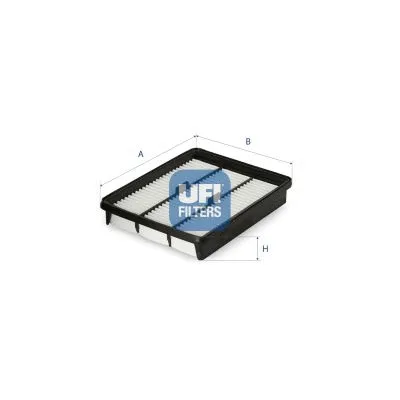 Air Filter (30.C42.00)