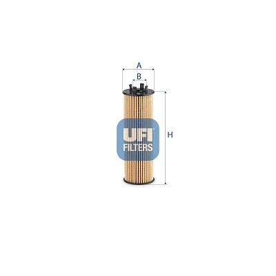 Oil Filter (25.EVO.00)