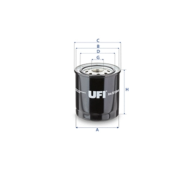 Fuel Filter (24.519.00)