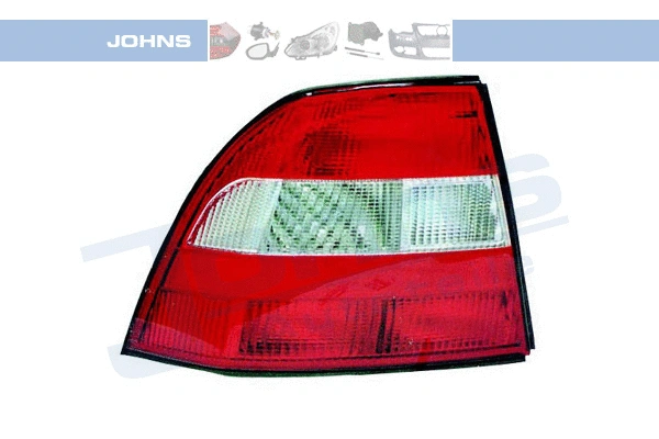 Tail Light Assembly (55 15 87-1)