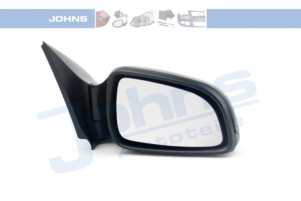 Exterior Mirror (55 09 38-61)