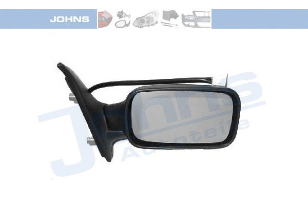 Exterior Mirror (30 17 38-21)