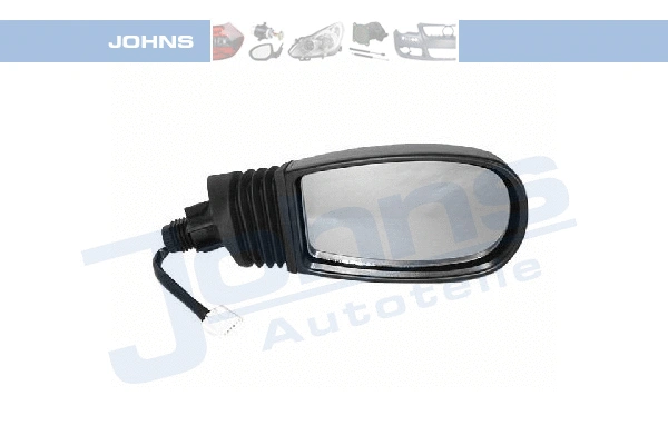 Exterior Mirror (30 18 38-21)