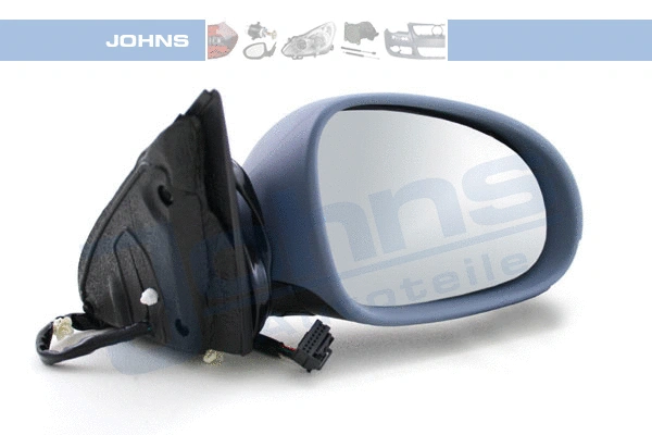 Exterior Mirror (95 50 38-25)