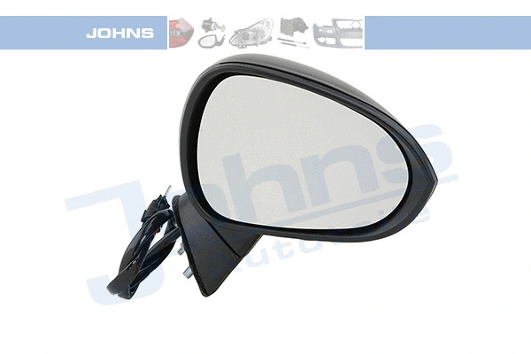 Exterior Mirror (67 16 38-1)