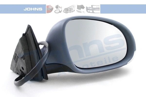 Exterior Mirror (95 49 38-65)