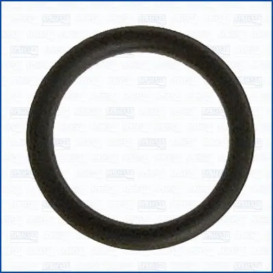 Gasket, coolant pipe (16075500)