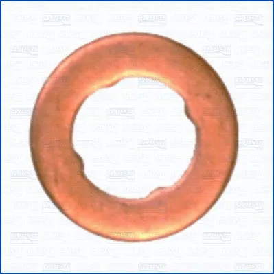 Seal Ring, injector (01259500)