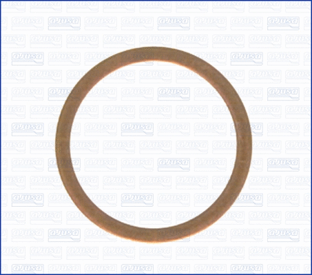 Seal Ring, oil drain plug (21020900)