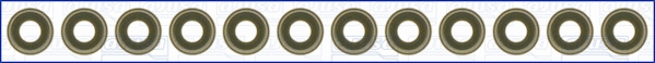 Seal Set, valve stem (57025700)