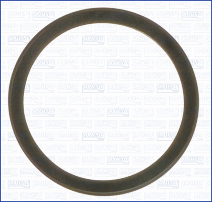 Seal, thermostat (00538400)