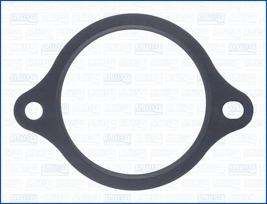 Seal, thermostat (01466000)