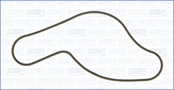 Gasket, water pump (00855900)