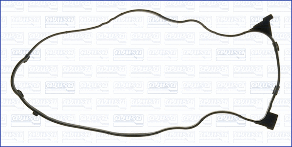 Gasket, cylinder head cover (11107500)