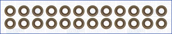 Seal Set, valve stem (57048600)