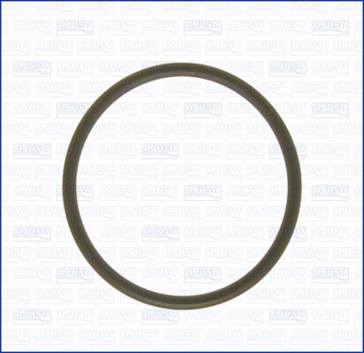 Gasket, intake manifold (16028100)