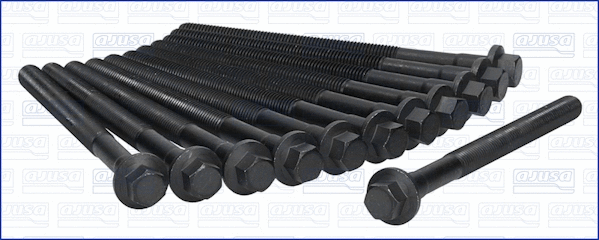 Cylinder Head Bolt Set (81019900)