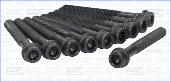 Cylinder Head Bolt Set (81010500)