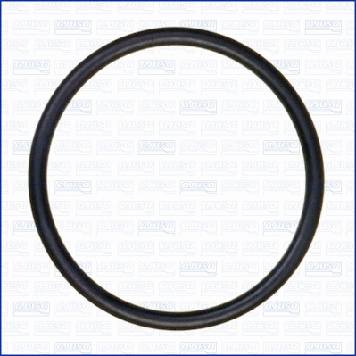 Seal, thermostat (16054000)