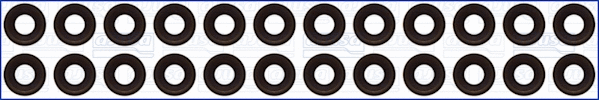 Seal Set, valve stem (57012500)
