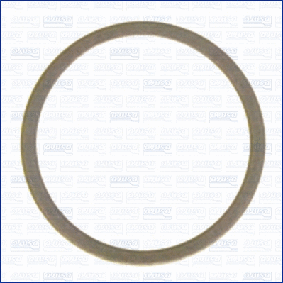 Seal Ring, oil drain plug (22011000)
