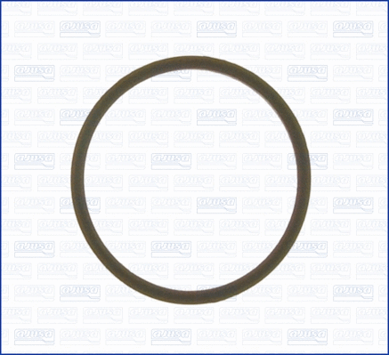 Seal, thermostat (00522900)