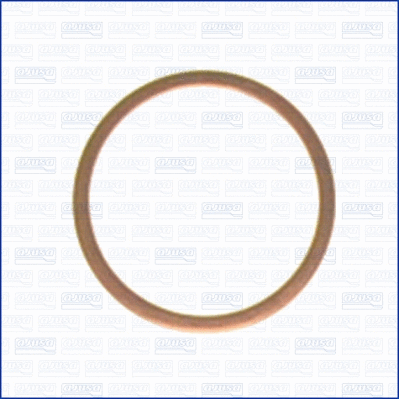 Seal Ring, oil drain plug (21016800)