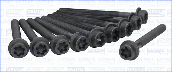 Cylinder Head Bolt Set (81017900)