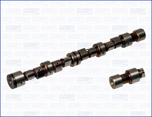 Camshaft (93017900)