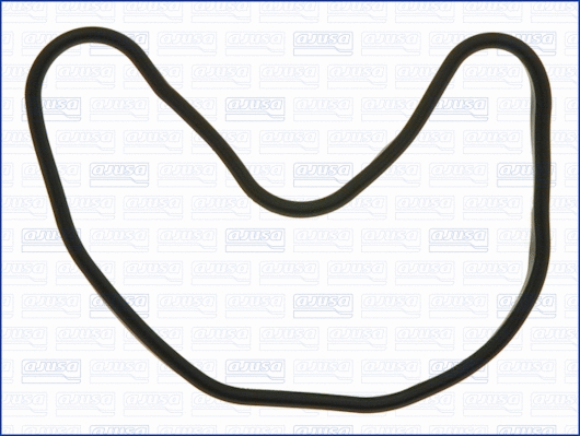 Gasket, cylinder head cover (11084500)
