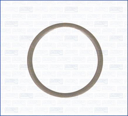 Seal Ring, oil drain plug (22010200)