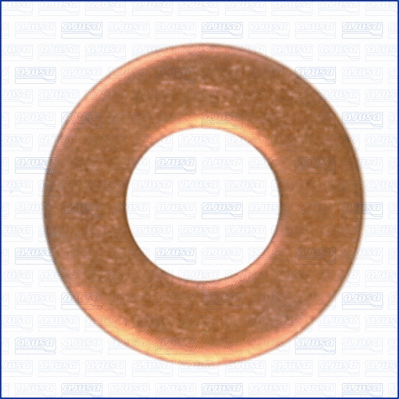 Seal Ring, oil drain plug (21008600)