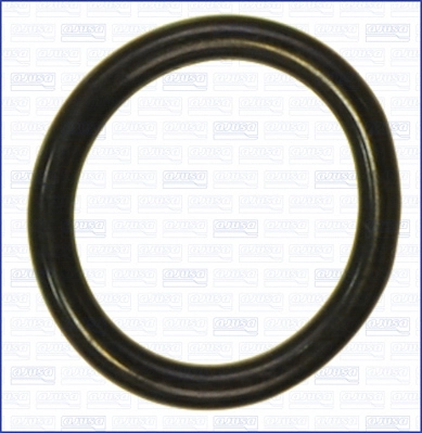 Seal, thermostat (16098500)