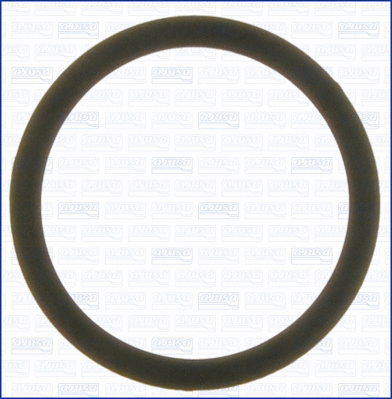 Seal, thermostat (00515100)