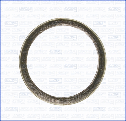 Gasket, exhaust pipe (19006000)