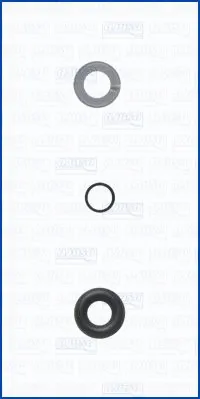 Seal Kit, injector nozzle (77008500)