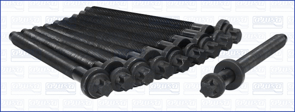 Cylinder Head Bolt Set (81029400)