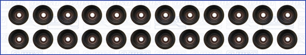 Seal Set, valve stem (57054500)